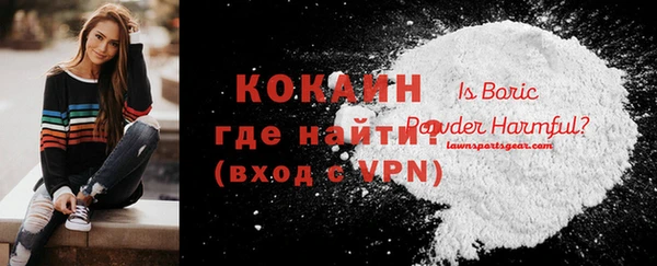 дживик Алзамай